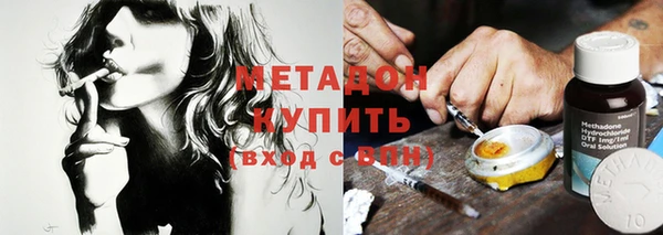 индика Бородино
