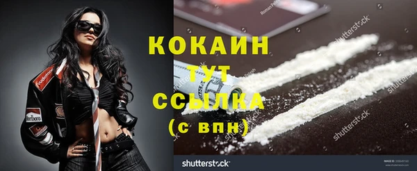 гидра Верея