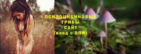 гидра Верея
