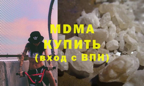 индика Бородино