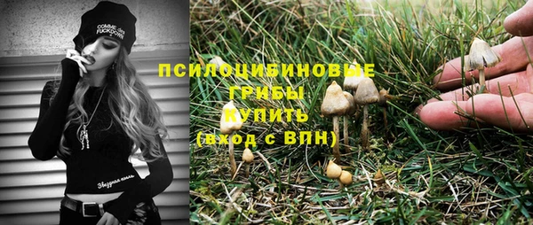 гидра Верея