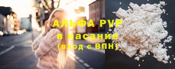 индика Бородино