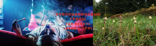 гидра Верея