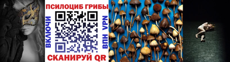 МЕГА онион  Буинск  Псилоцибиновые грибы Psilocybe  как найти закладки 